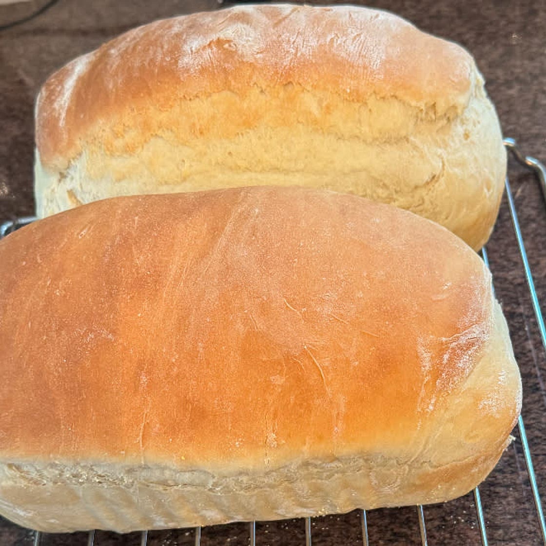 Sandwich Bread