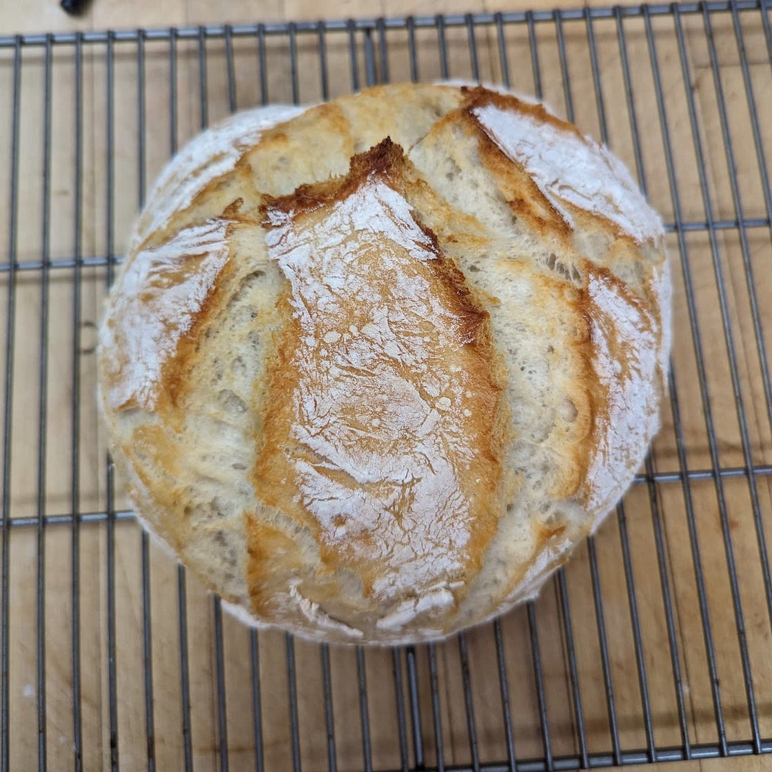 Dutch Oven No Knead Crusty Bread