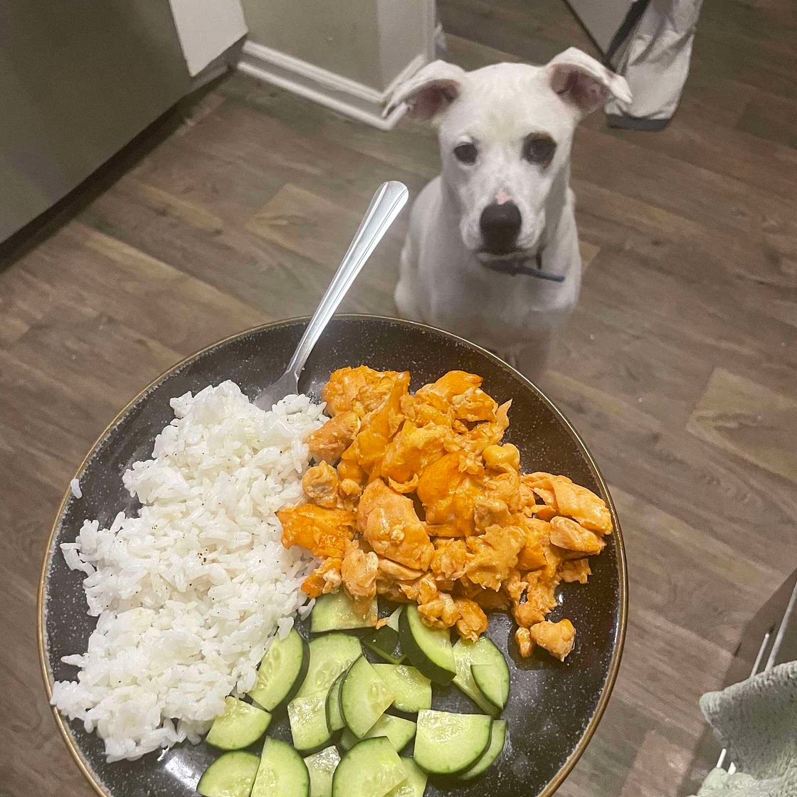 Korean Salmon and Rice