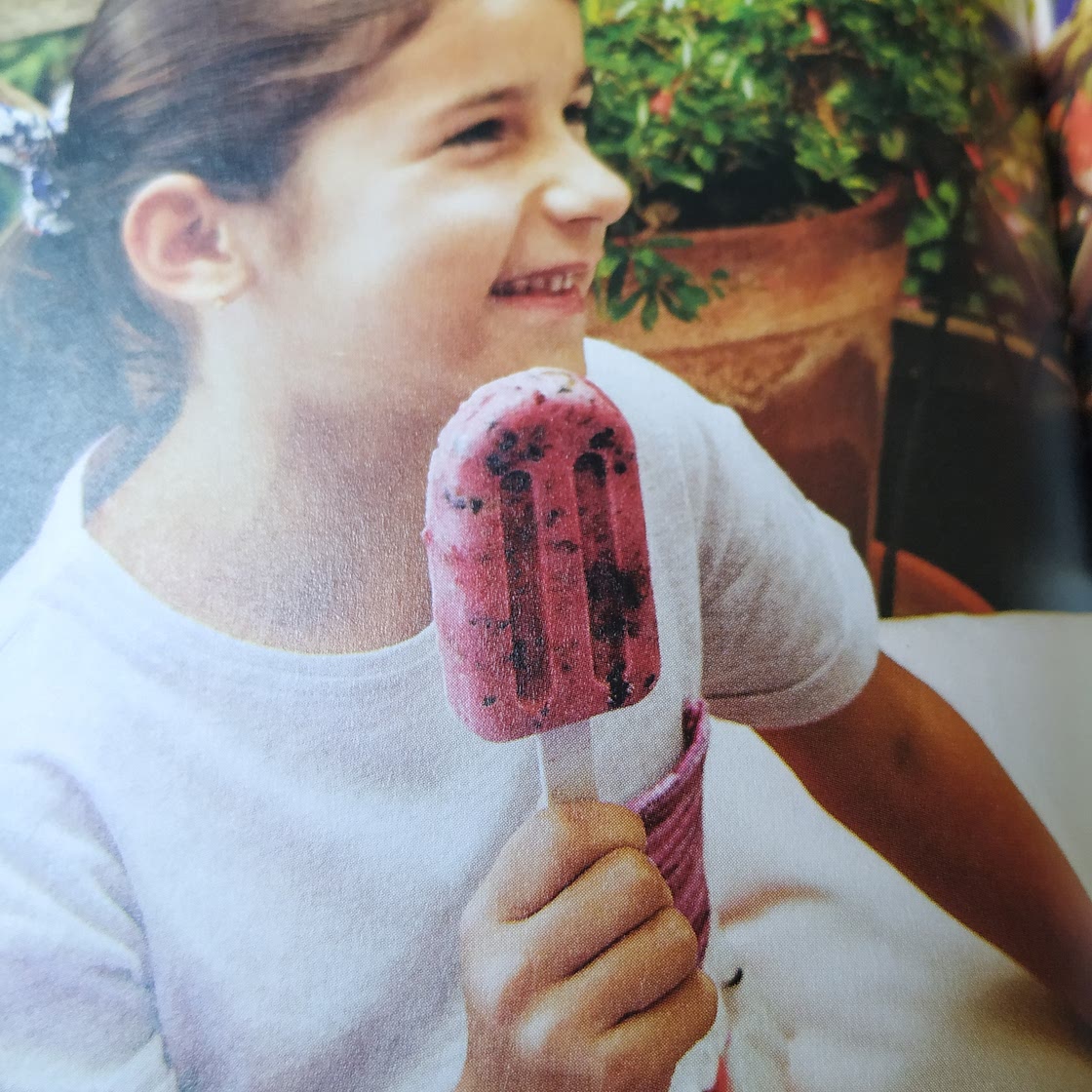 Pops gelados de frutos vermelhos