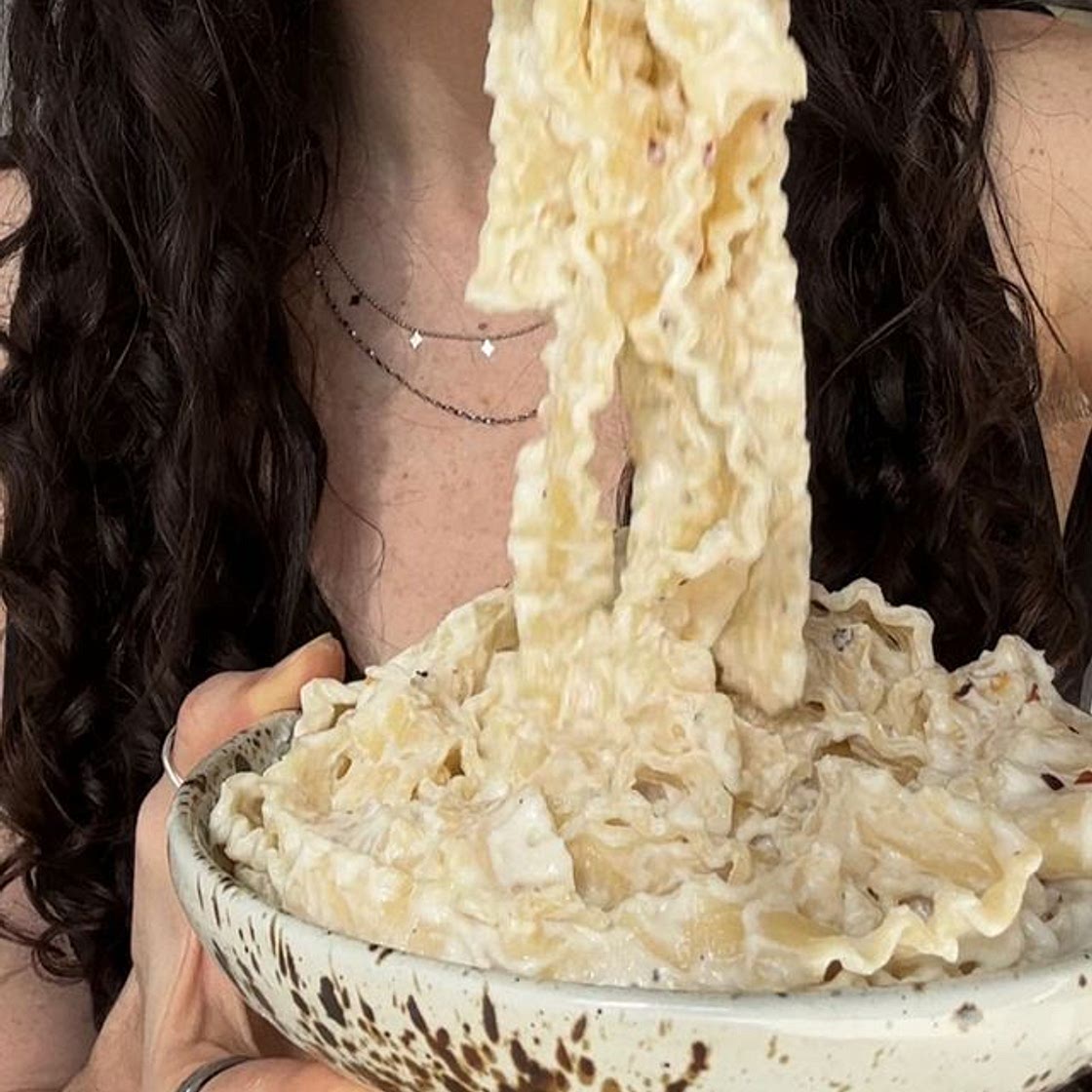 HIDDEN VEGGIE PROTEIN ALFREDO