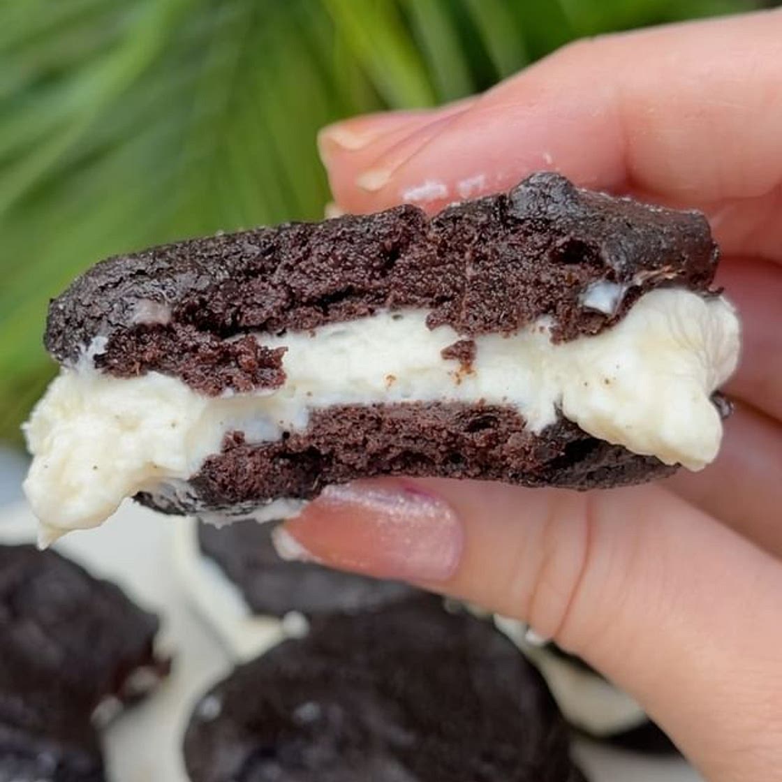 Protein Oreo Cakesters