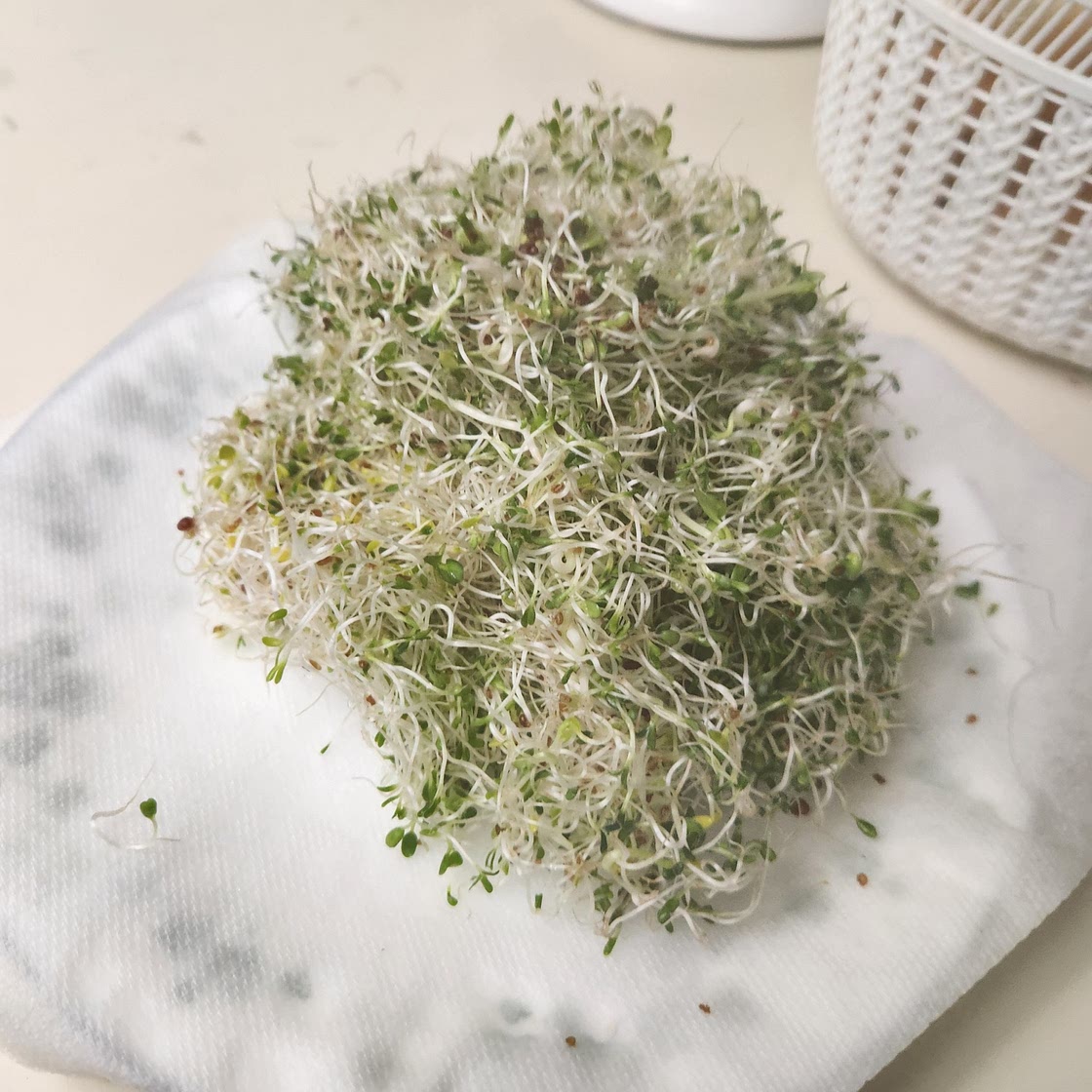 Sprouts/Mini Greens In A Mason Jar in 6 days