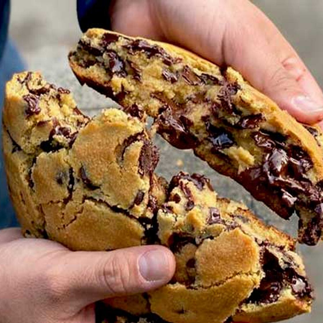 Best Bristol Farms Chocolate Chip Cookie Recipe Method