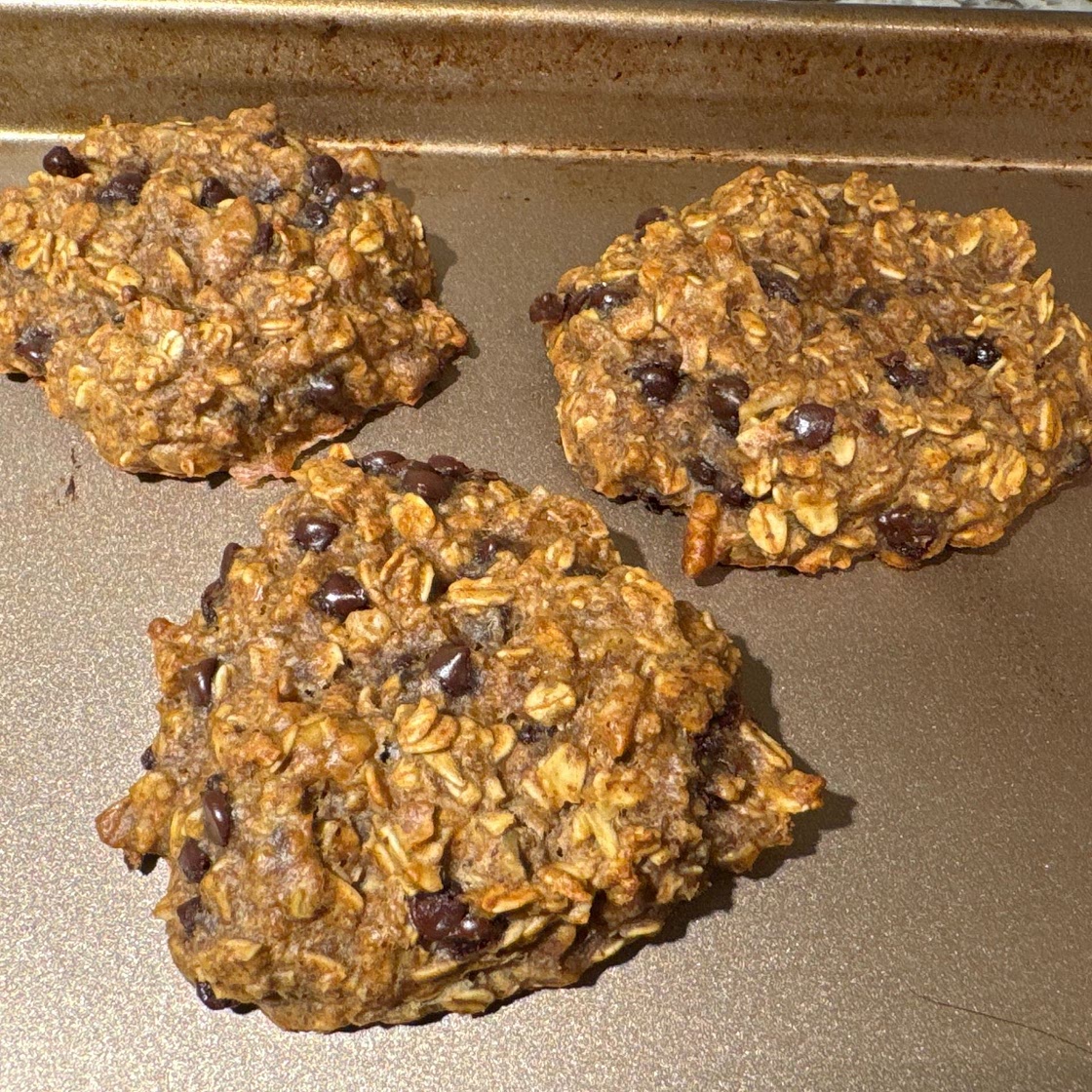 Peanut Butter Banana Oat Protein Cookies