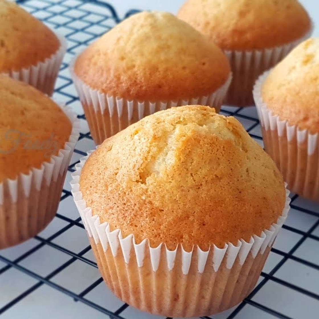 Easy Muffins