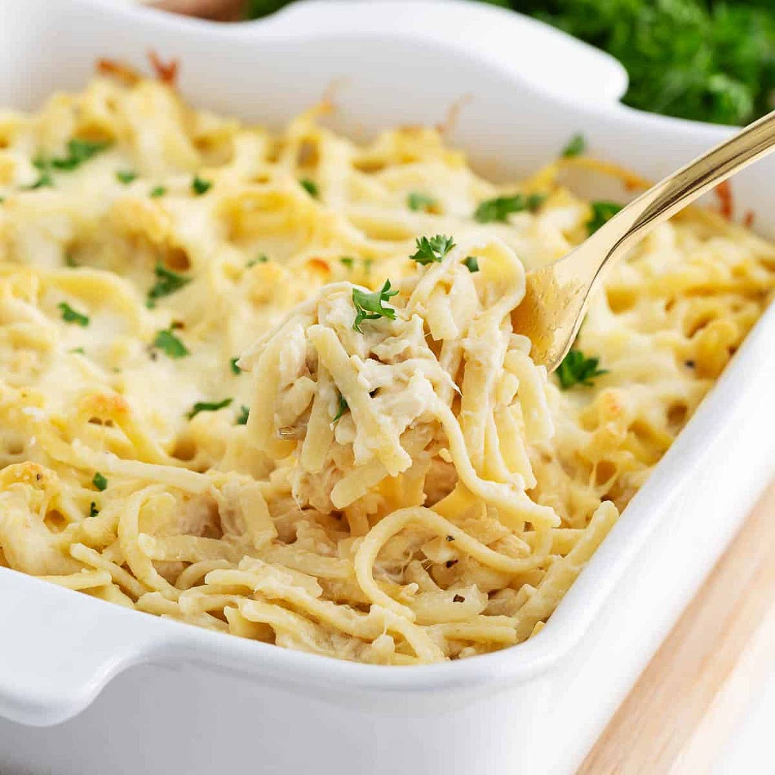 Chicken Tetrazzini Recipe