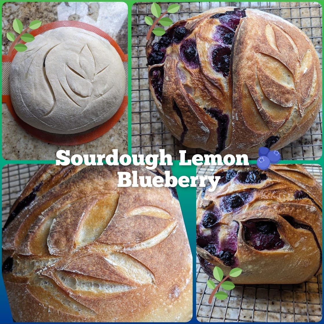 lemon & blueberry sourdough