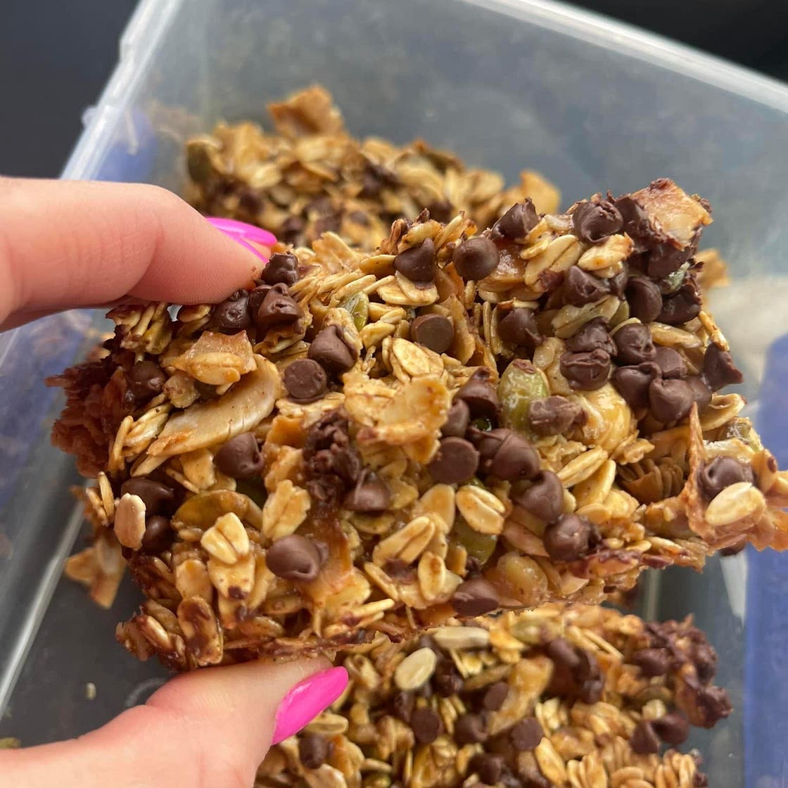 Healthy Ramona Bars (Well Plated by Erin)