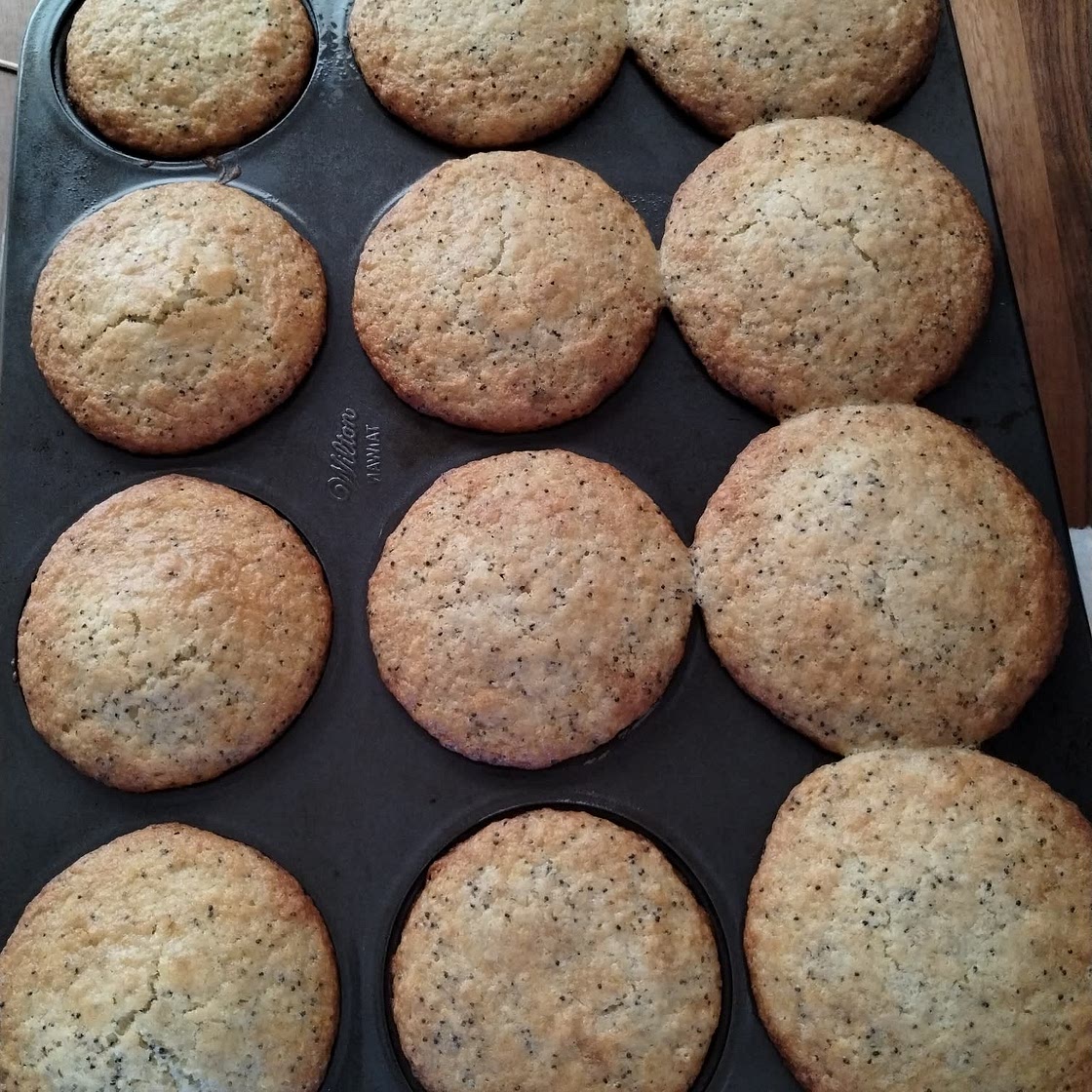 Lemon Poppyseed Muffins