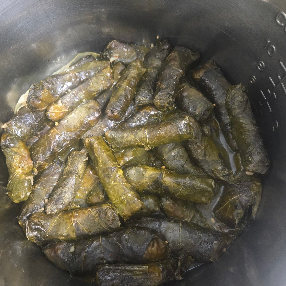 Vegetarian Grape Leaves with Lentils