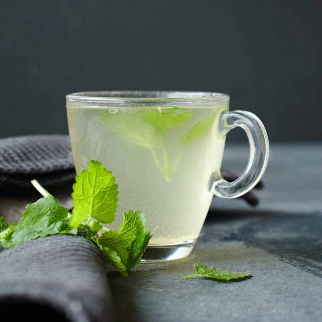 How to make lemon balm tea (3 recipes)