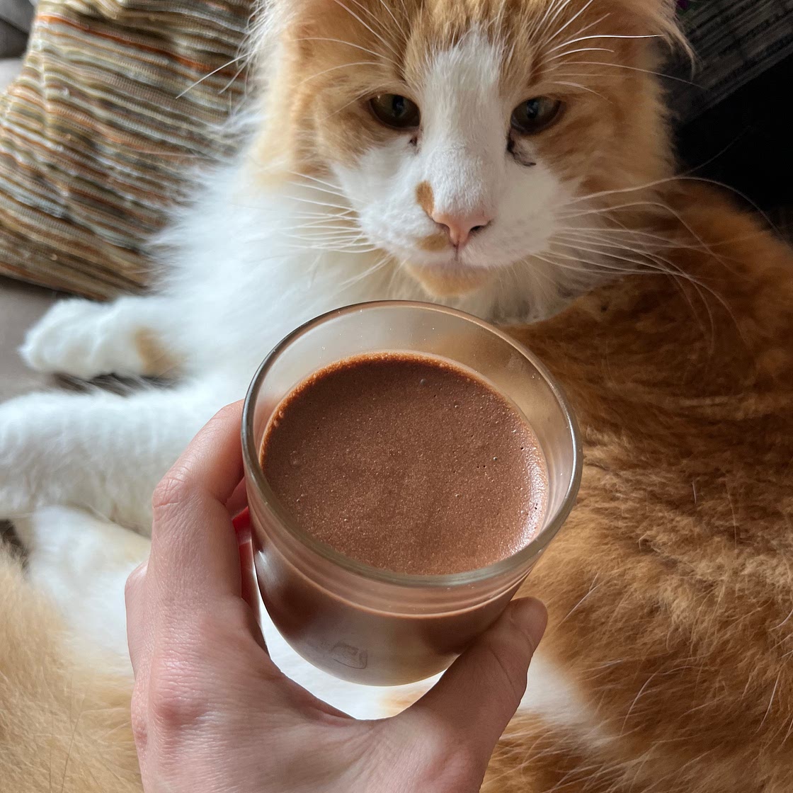 Mousse au chocolat d'Elie