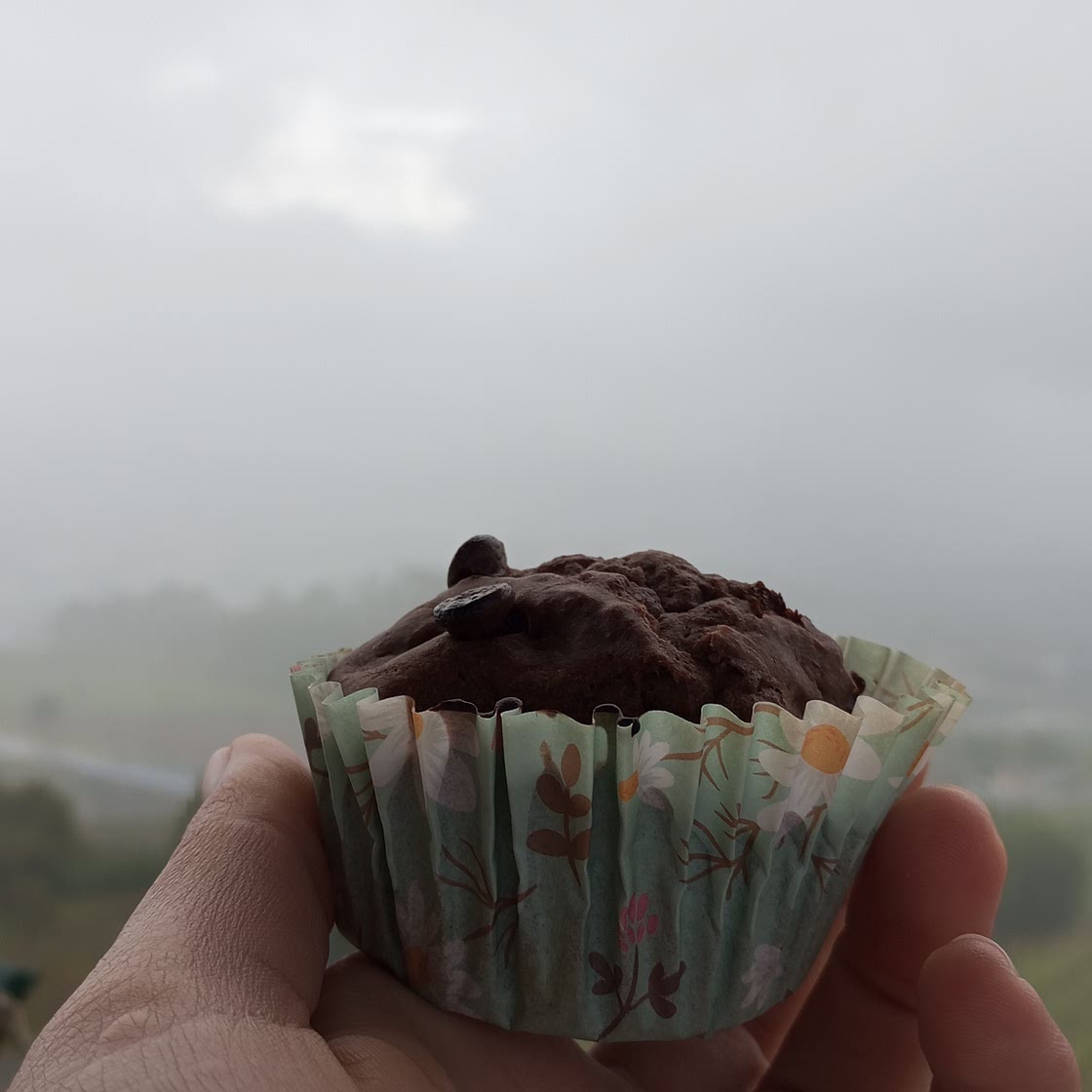 Banana and chocolate muffins