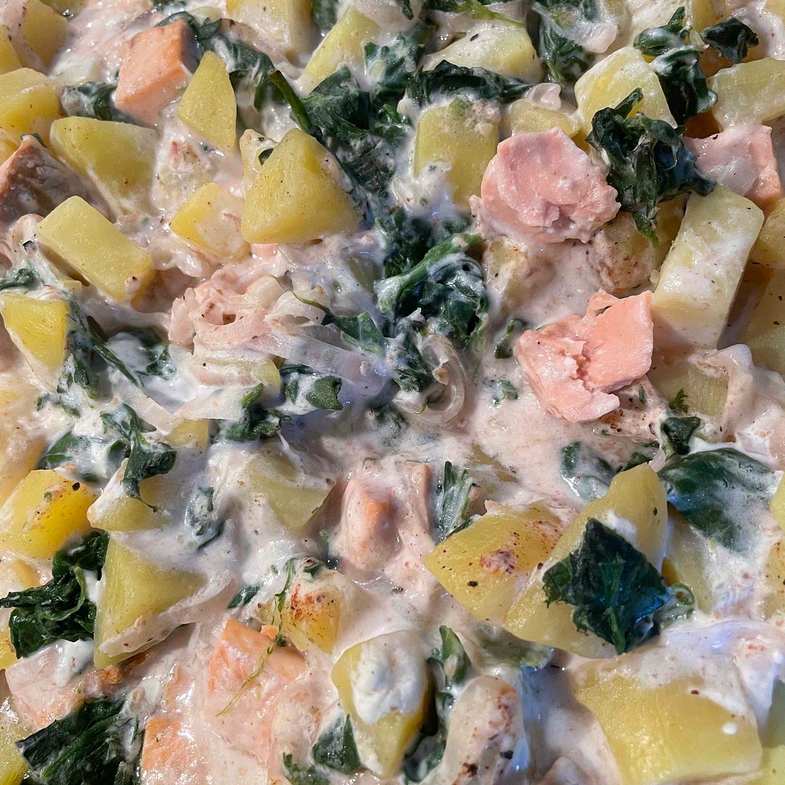 Lachs-Spinat-Gratin