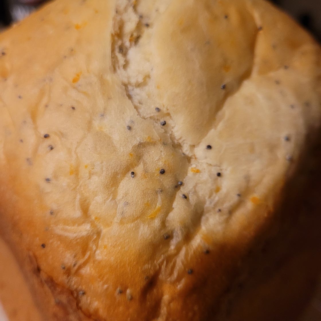 Cheesy Poppy Seed Bread