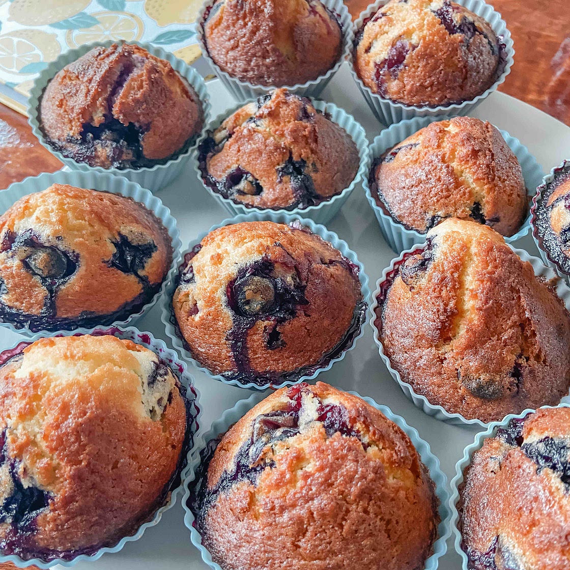 Blueberry muffins 
