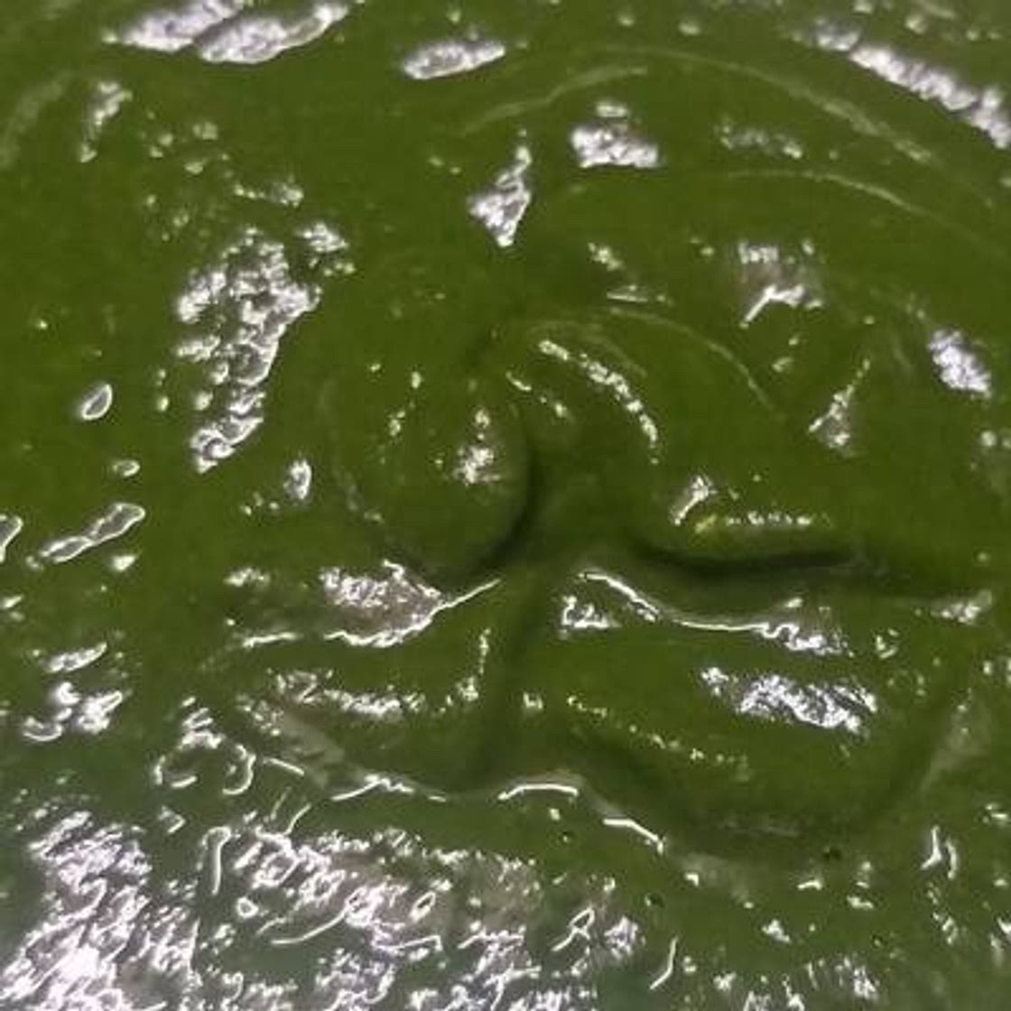 धनिया की मसालेदार चटनी (dhaniya chutney recipe in hindi)