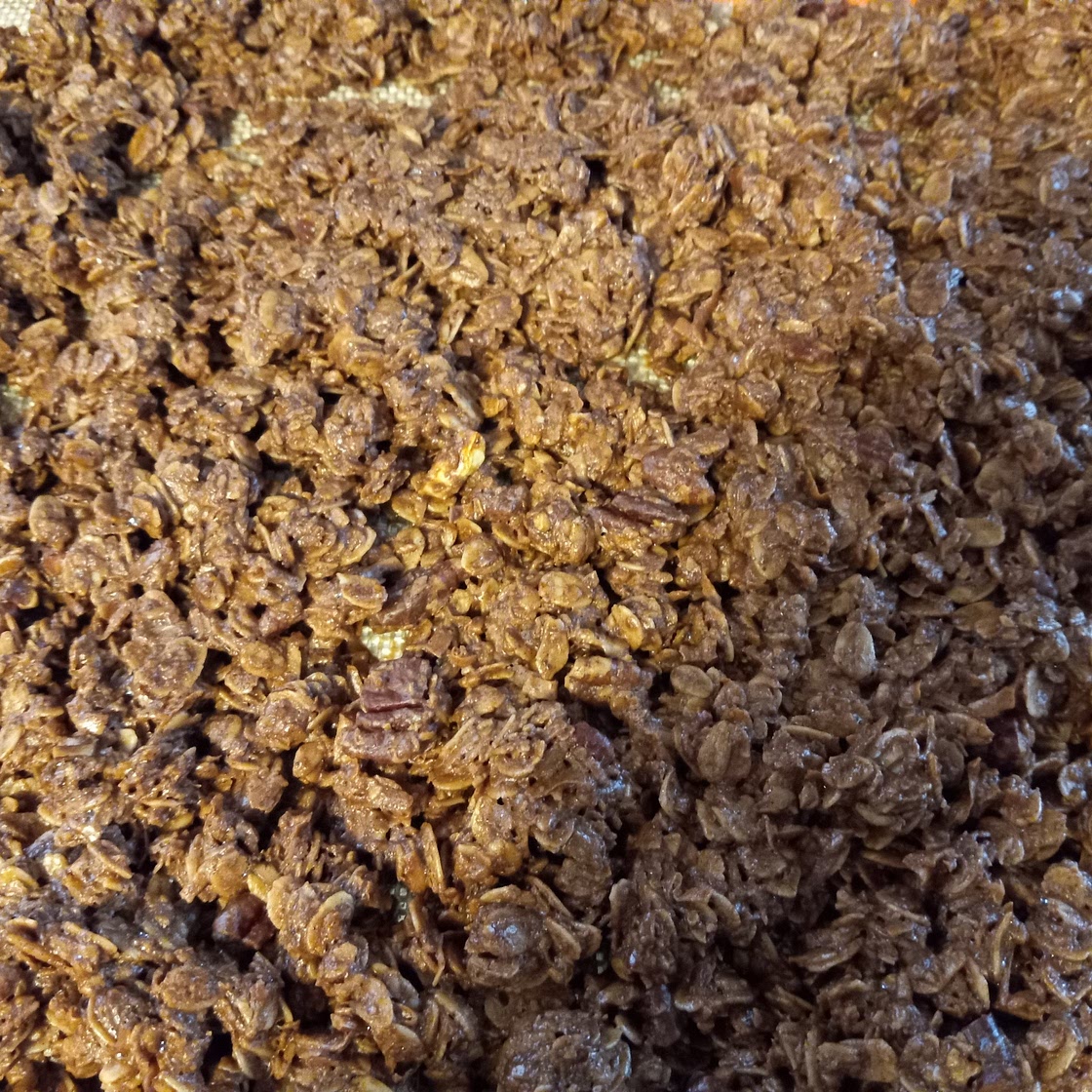 Chocolate Peanut Butter Granola