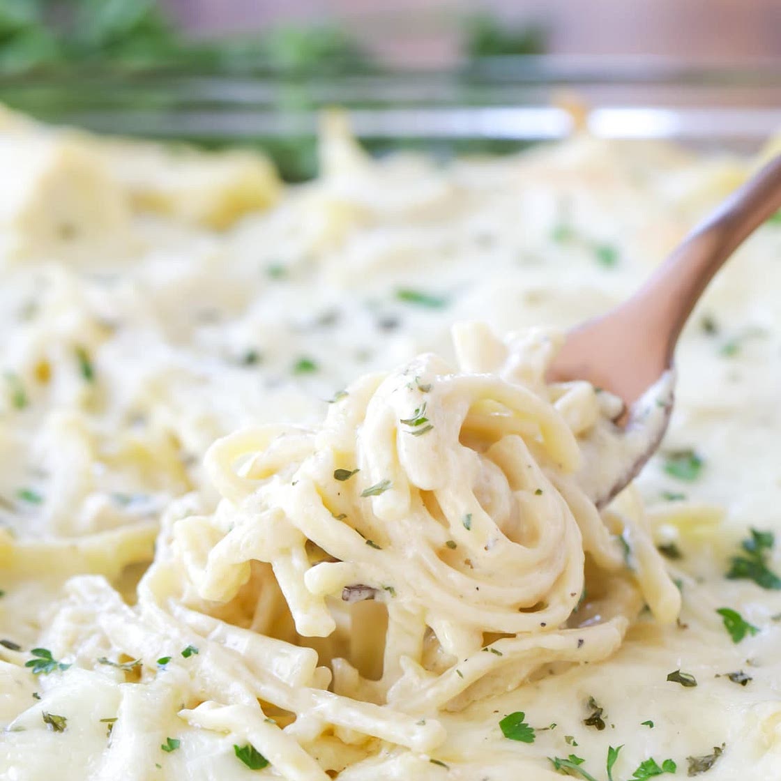 Chicken Tetrazzini Recipe