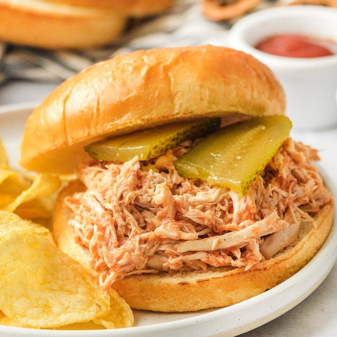 Slow Cooker Chicken Sloppy Joes (with a Tasty Homemade Sauce!)