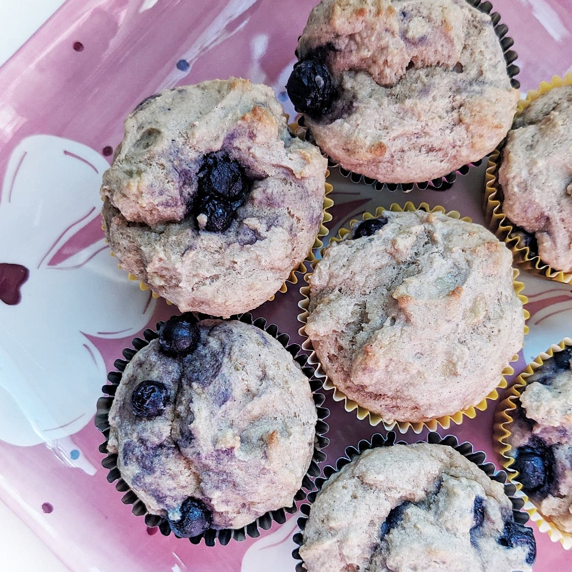 Kodiak Blueberry Muffins