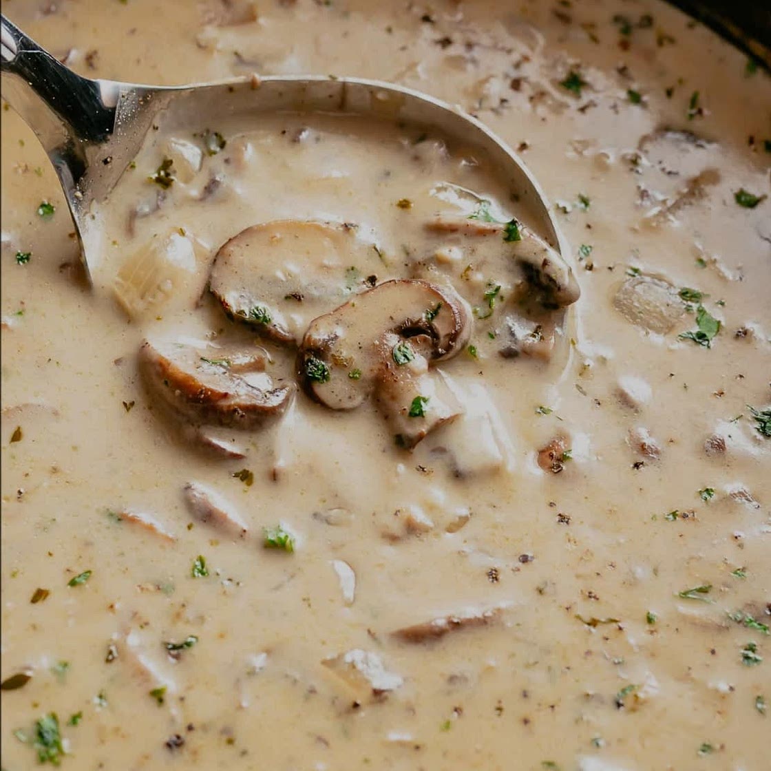 Cream of mushroom soup