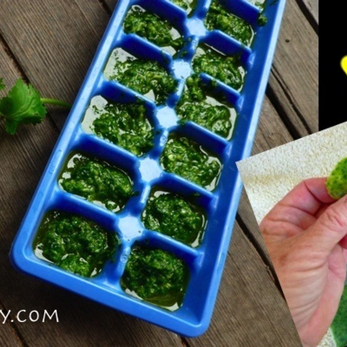 Freezing Cilantro