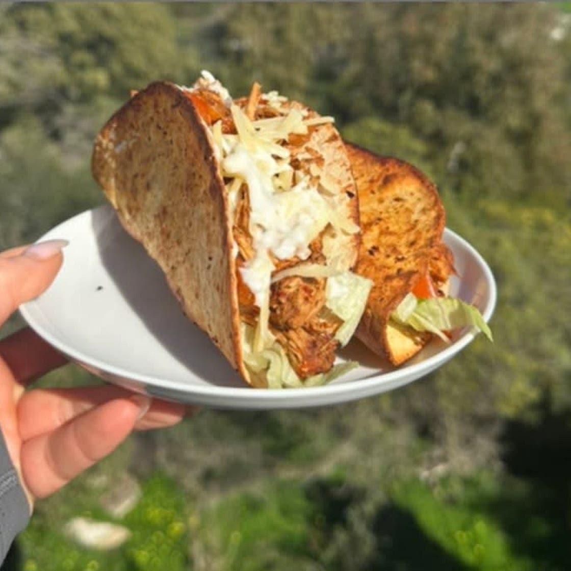 Chicken Tacos