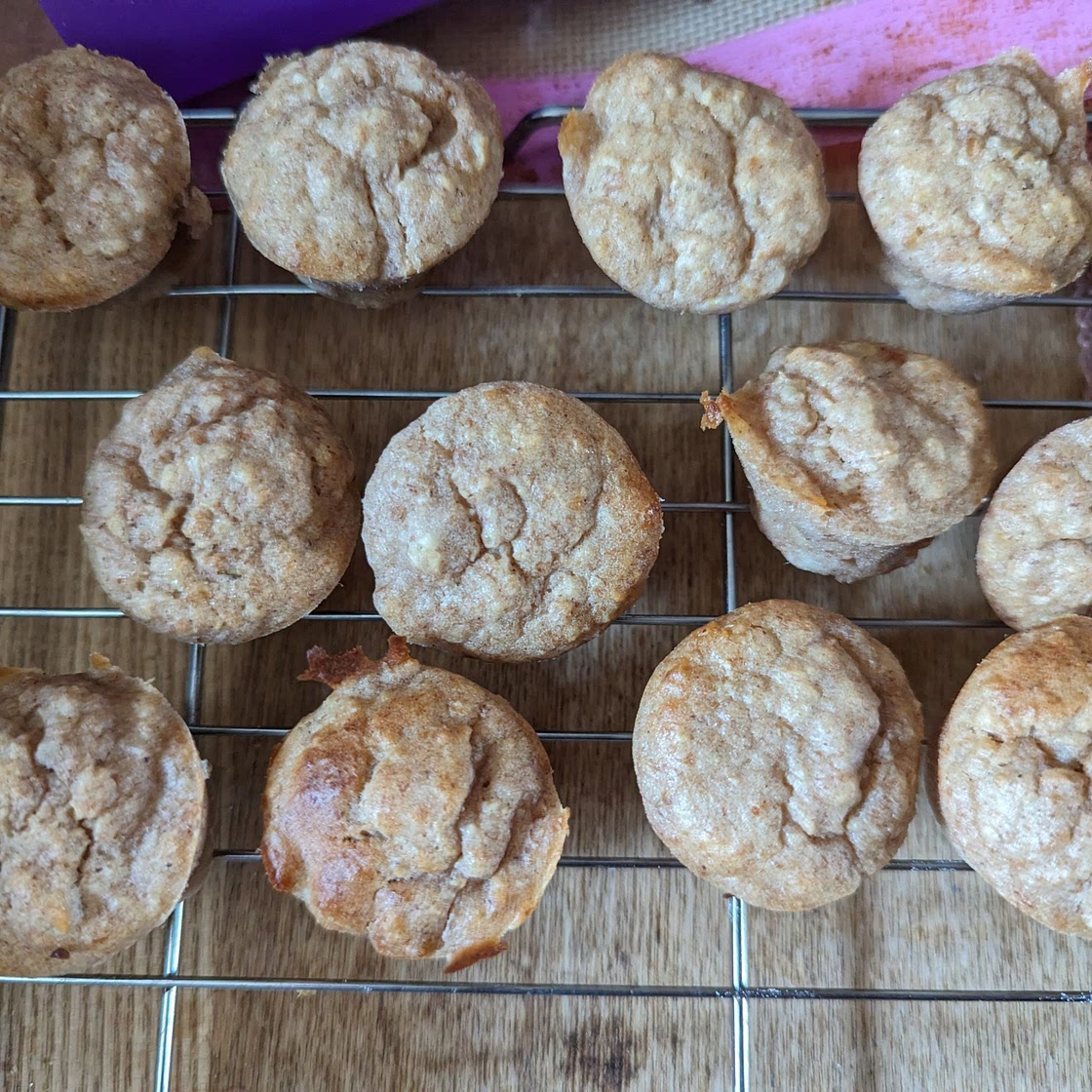 Applesauce Oat Muffin Pupcakes