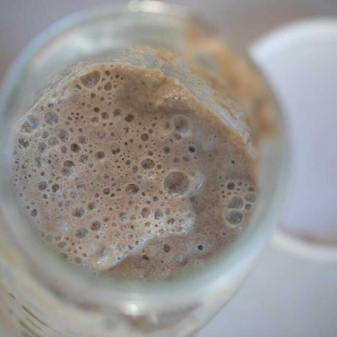 Rye Sourdough Starter