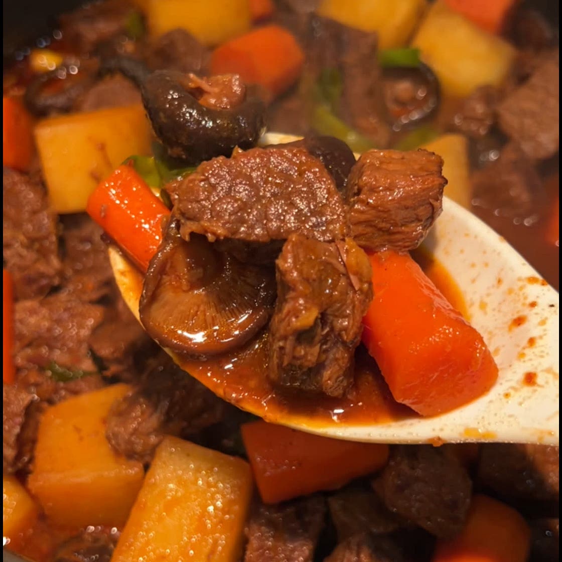 Korean beef stew 