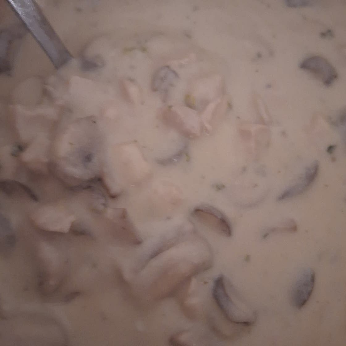 Blanquette de poulet aux champignons