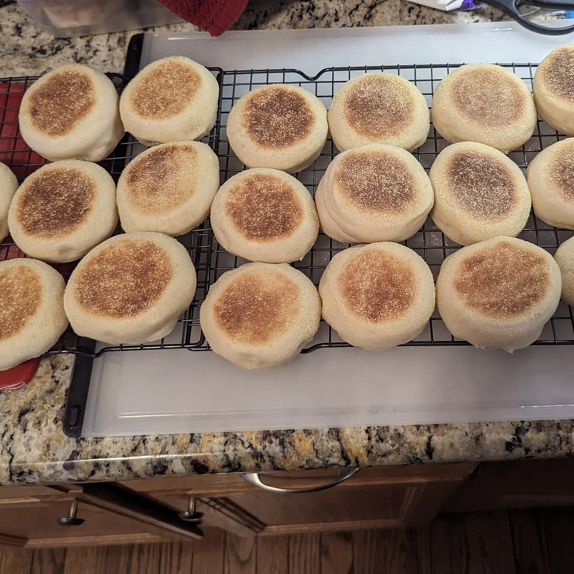 Sourdough English Muffins