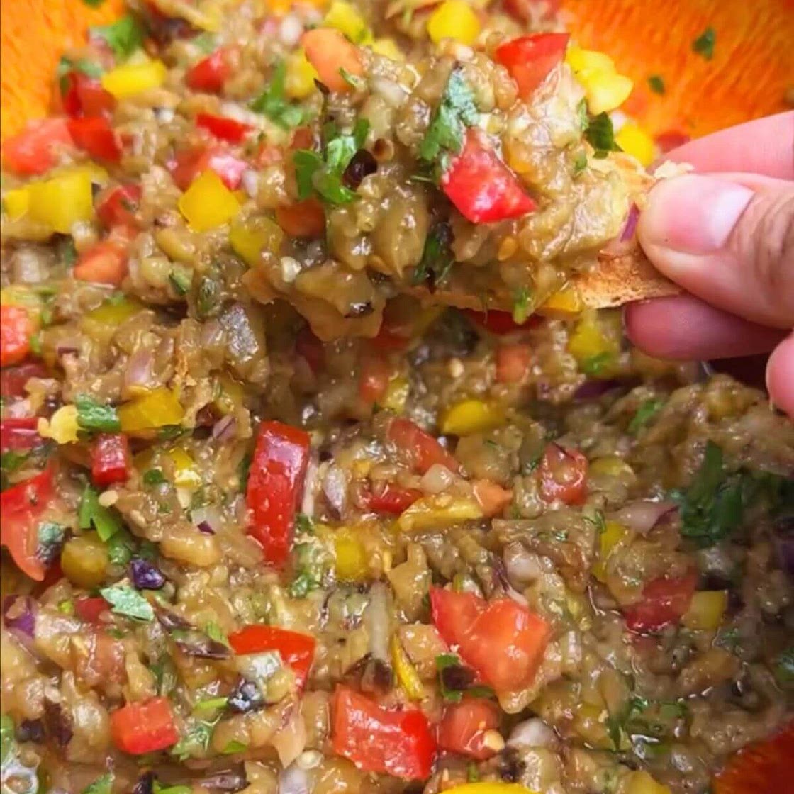Easy Grilled Eggplant Salad - Join Your Life