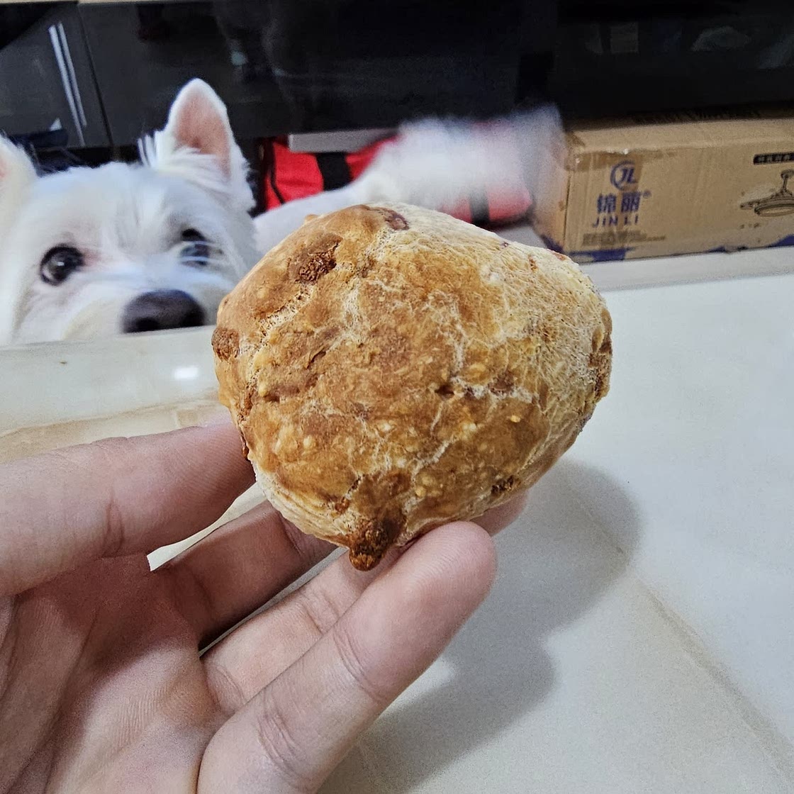 Authentic Brazilian Cheese Bread (Pão de Queijo)