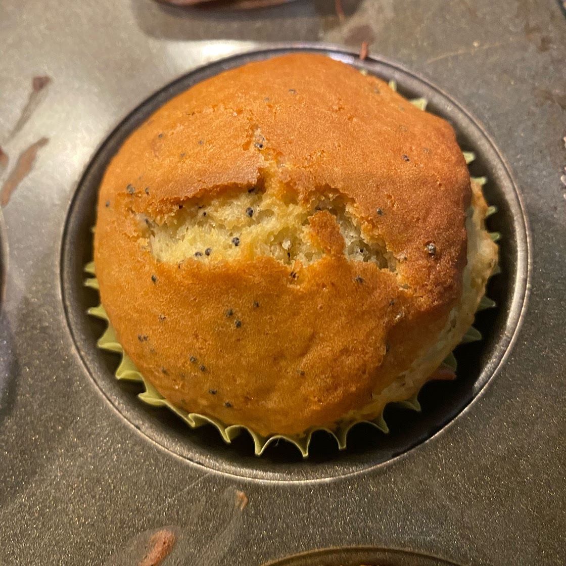 Lemon Poppy Seed Muffins
