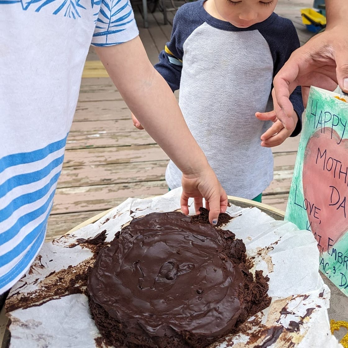 4 Ingredient Healthy Chocolate Cake