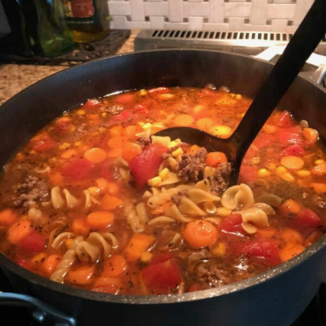 Vegetable Beef Noodle Soup