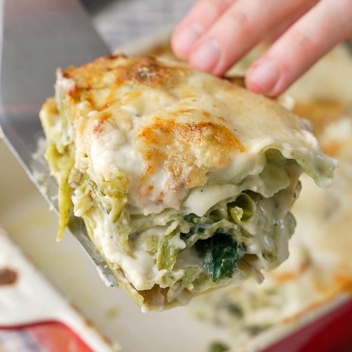 ITALIANO - Lasagna ai carciofi