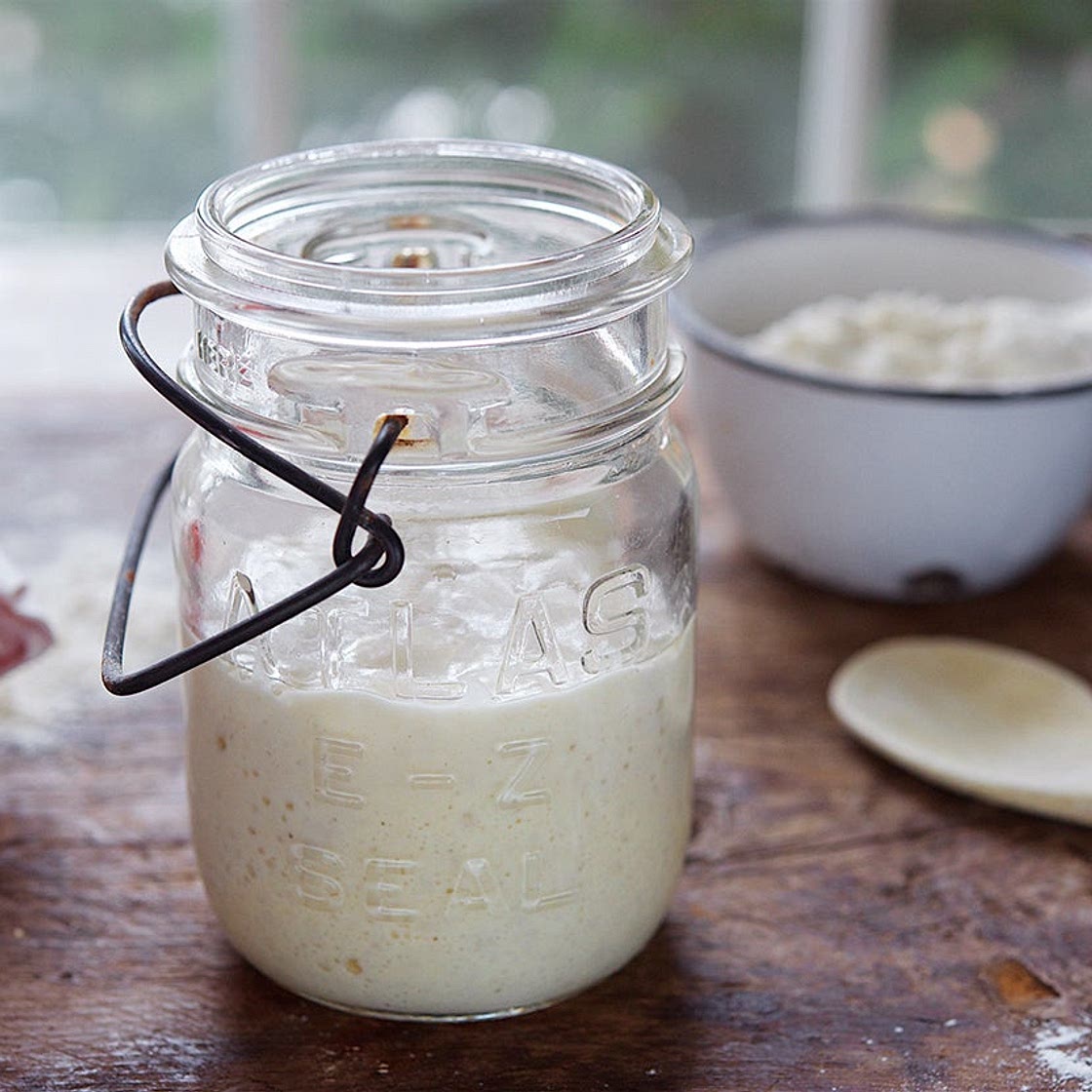 Sourdough Starter