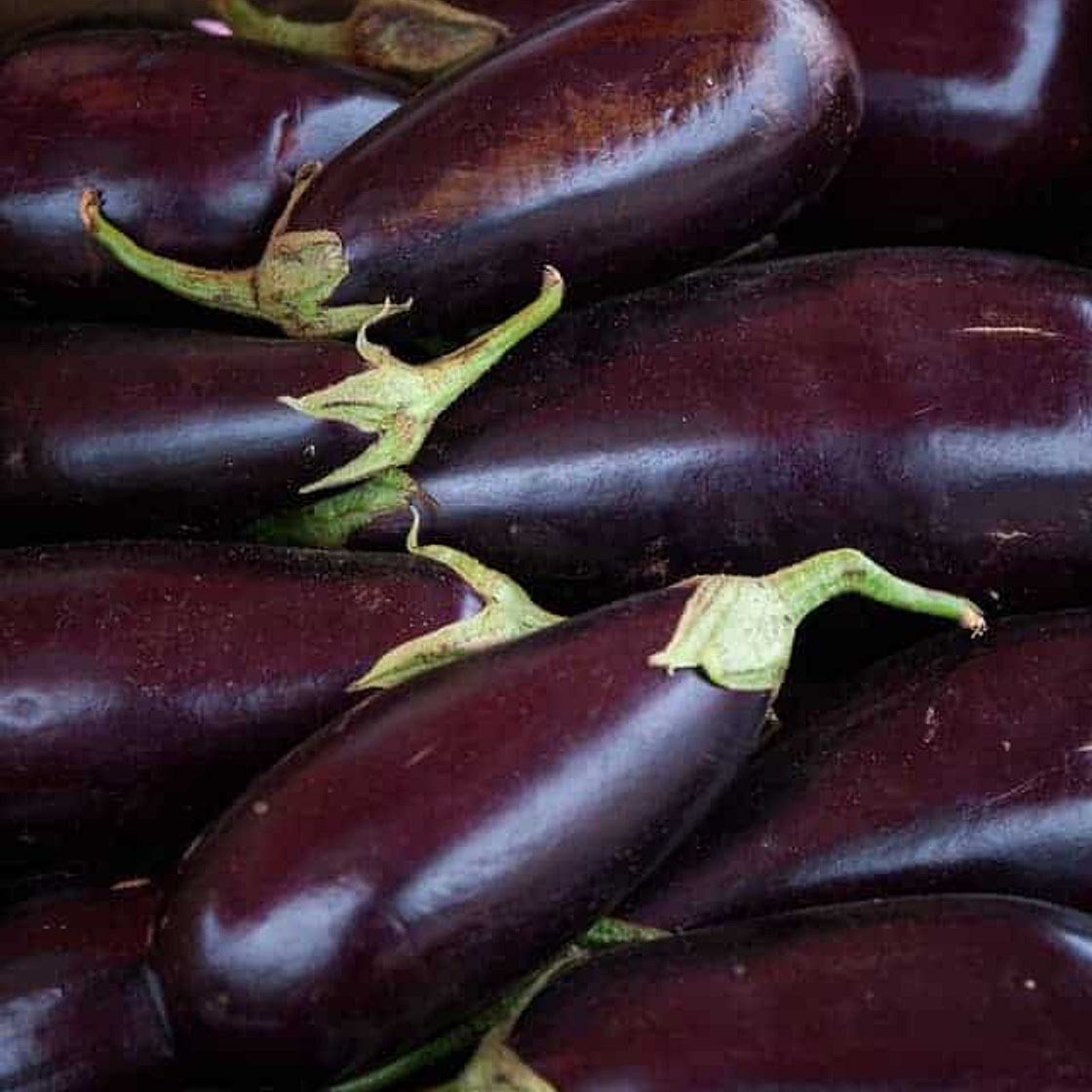Quick Skin-Peel Roasted Eggplant Hack