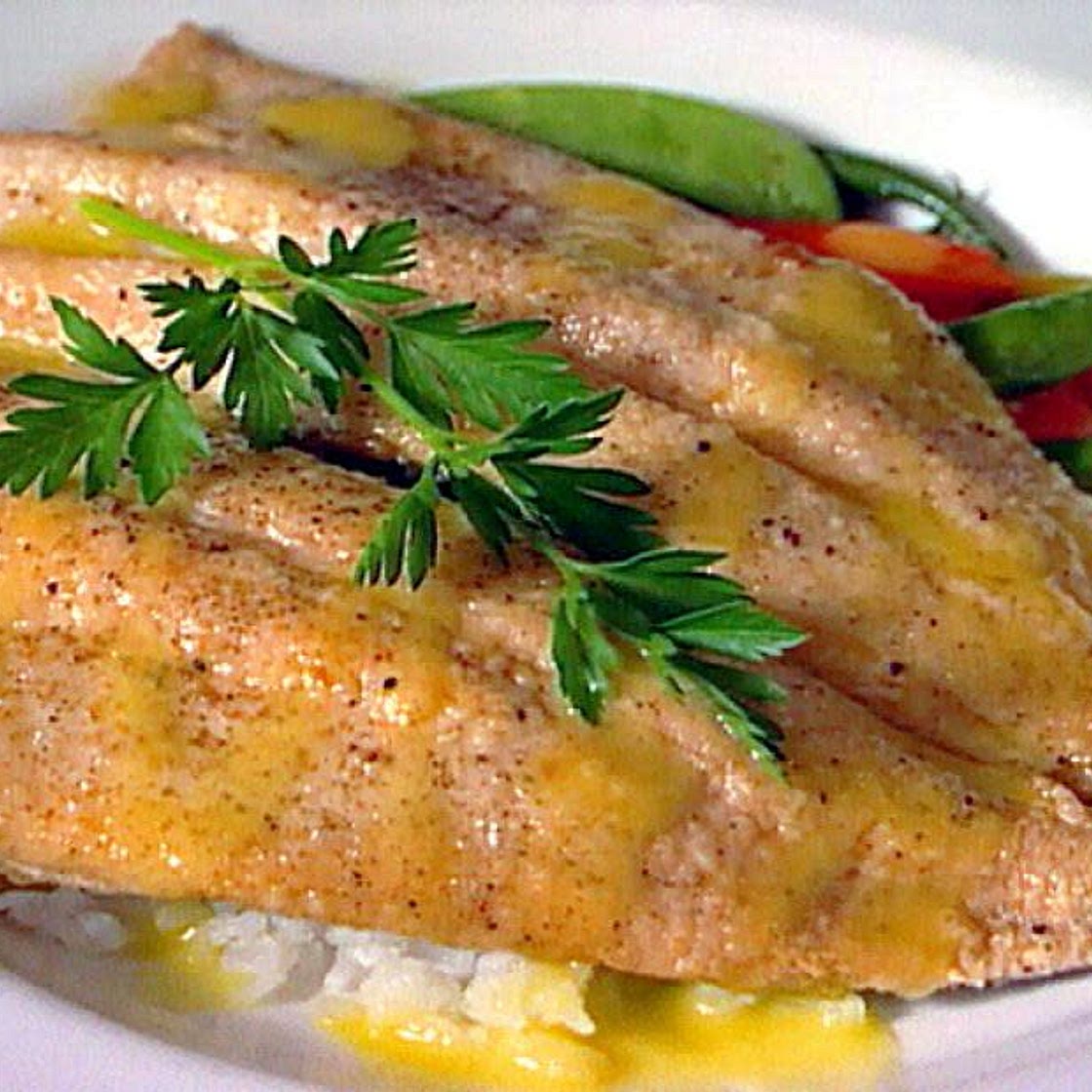 Rainbow Trout