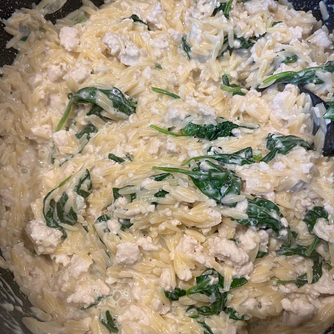 Creamy chicken orzo delight 