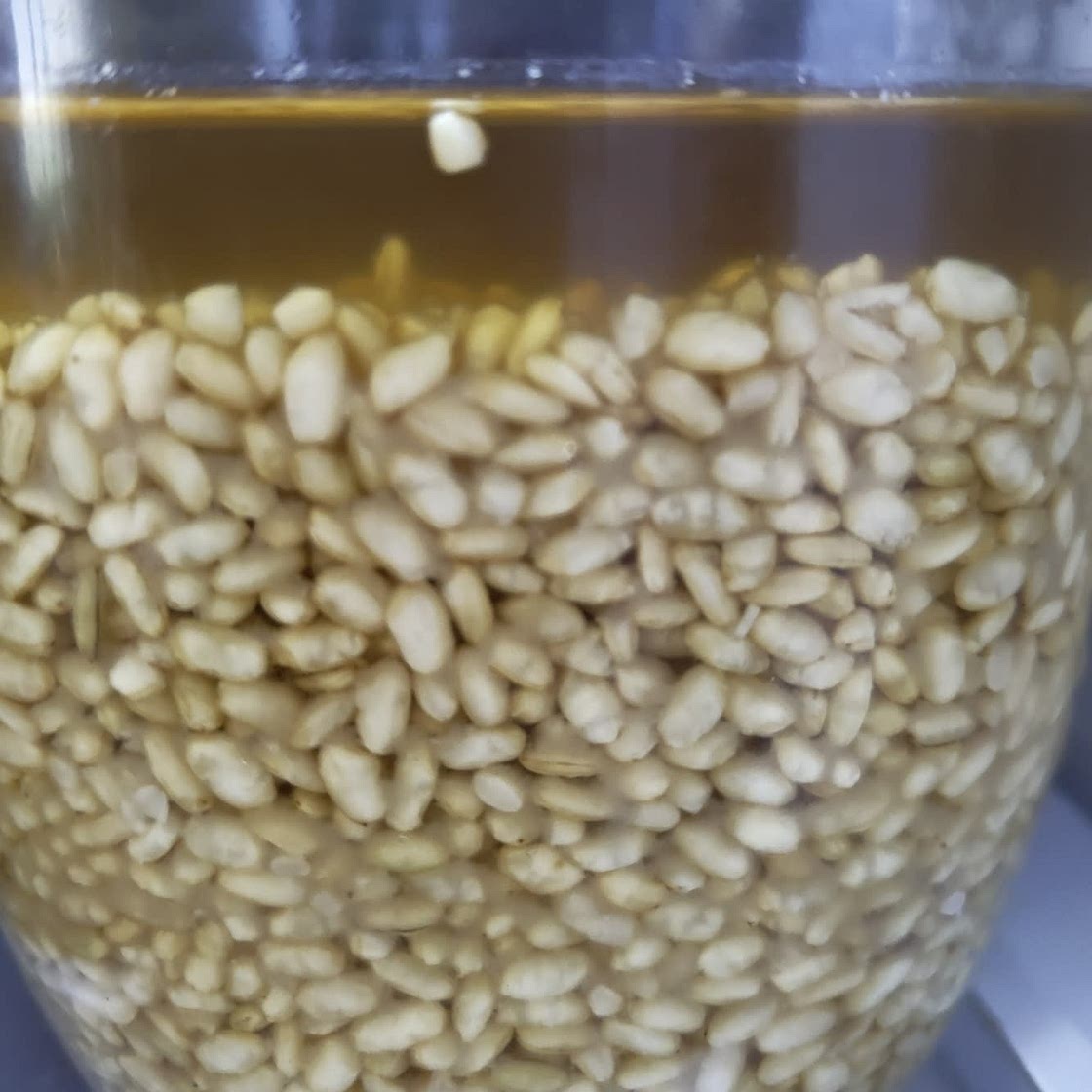Rice Shio Koji
