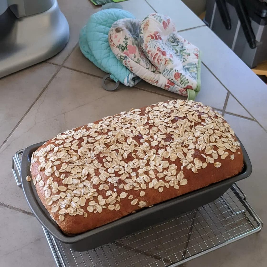 Whole Wheat Bread