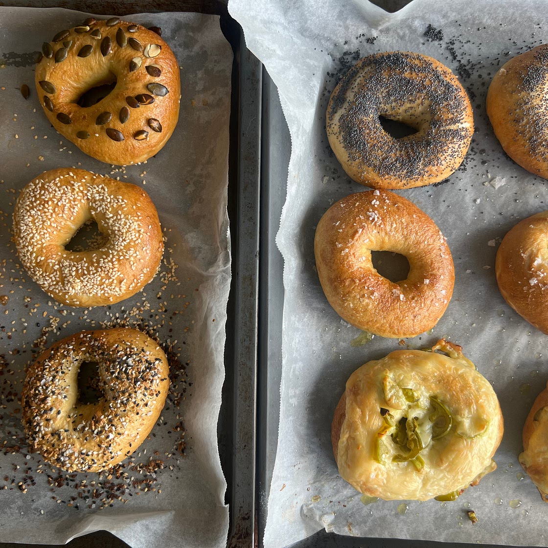 New York Bagels