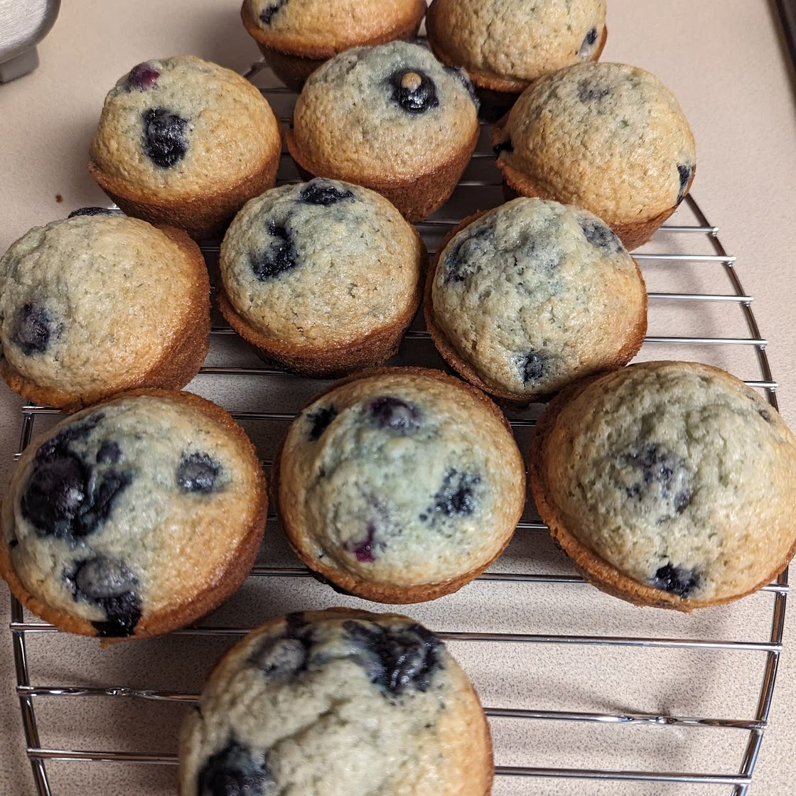 Homemade Blueberry Muffins