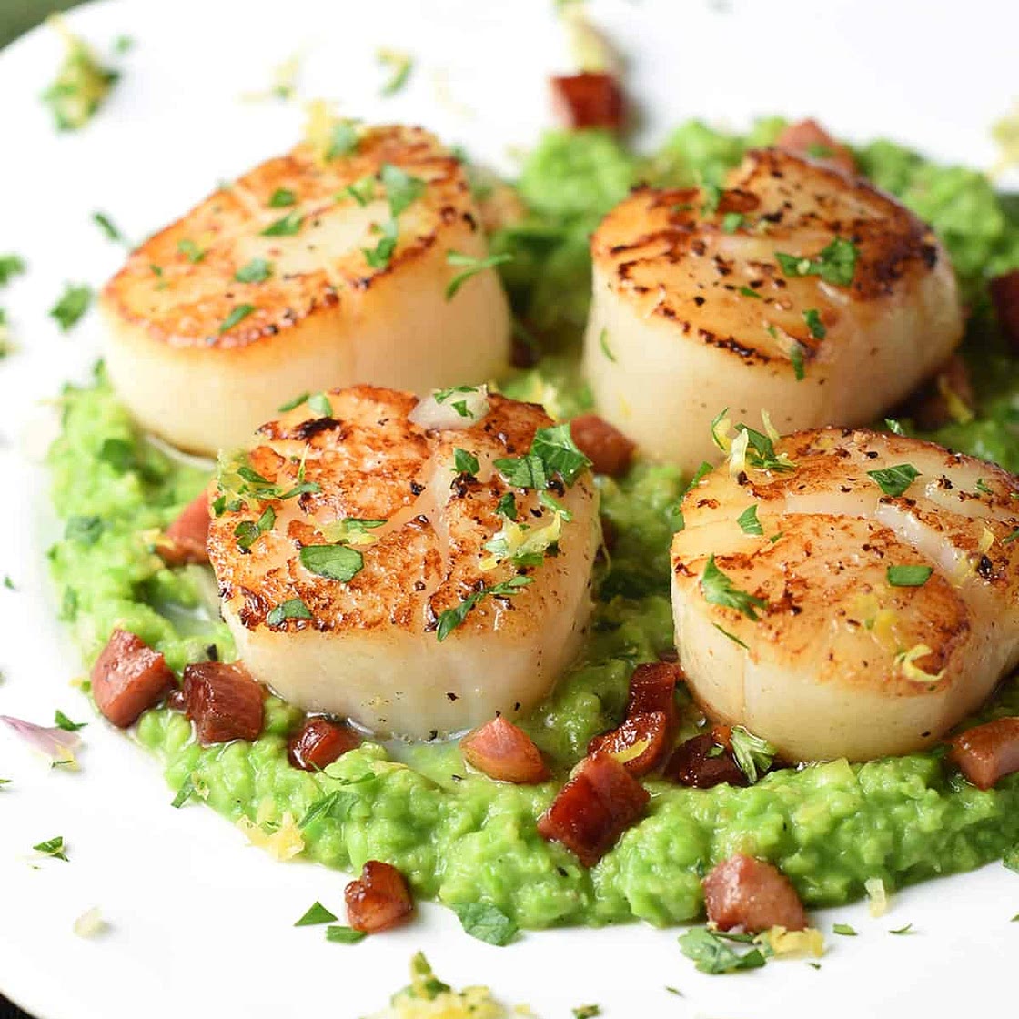 SCALLOPS ON PEA PURÉE WITH PANCETTA