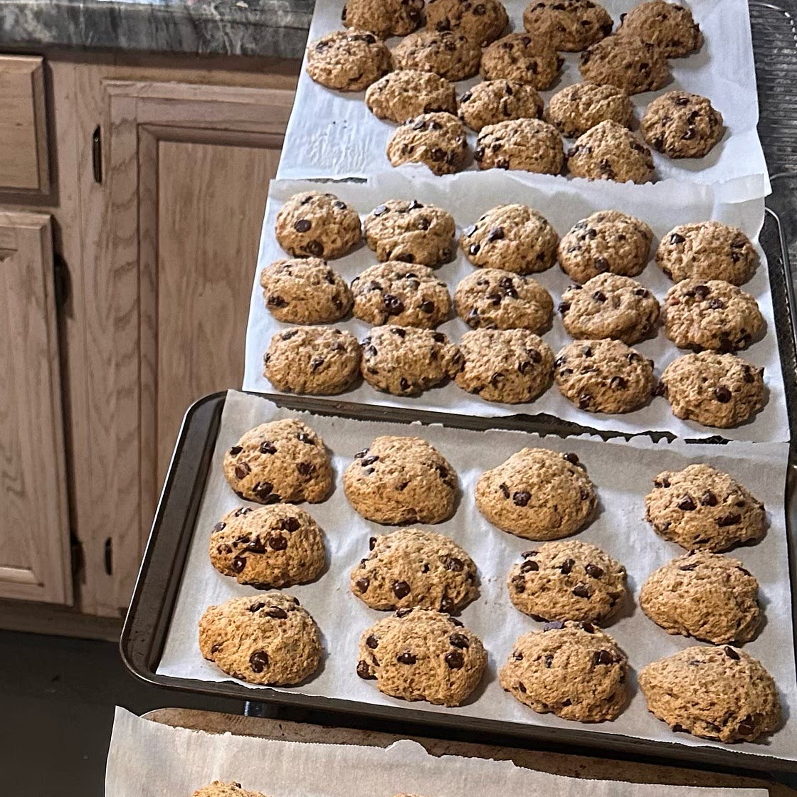 Sourdough Discard Chocolate Chip Cookies
